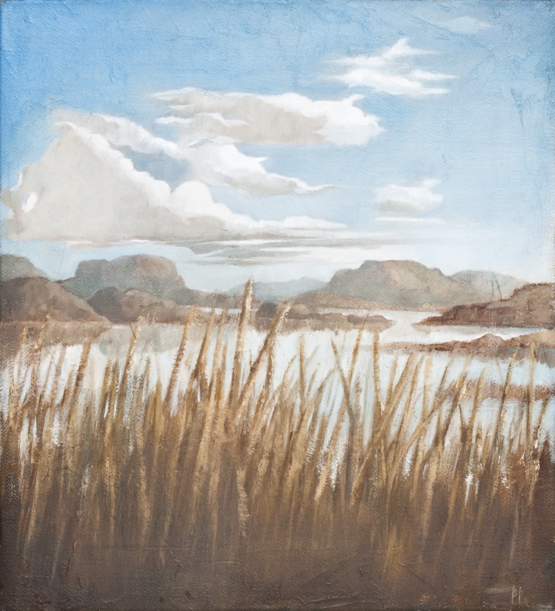 Melgrasskúfurinn harði